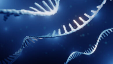 Rna, Epigenetics,Concept,,3d,Illustration